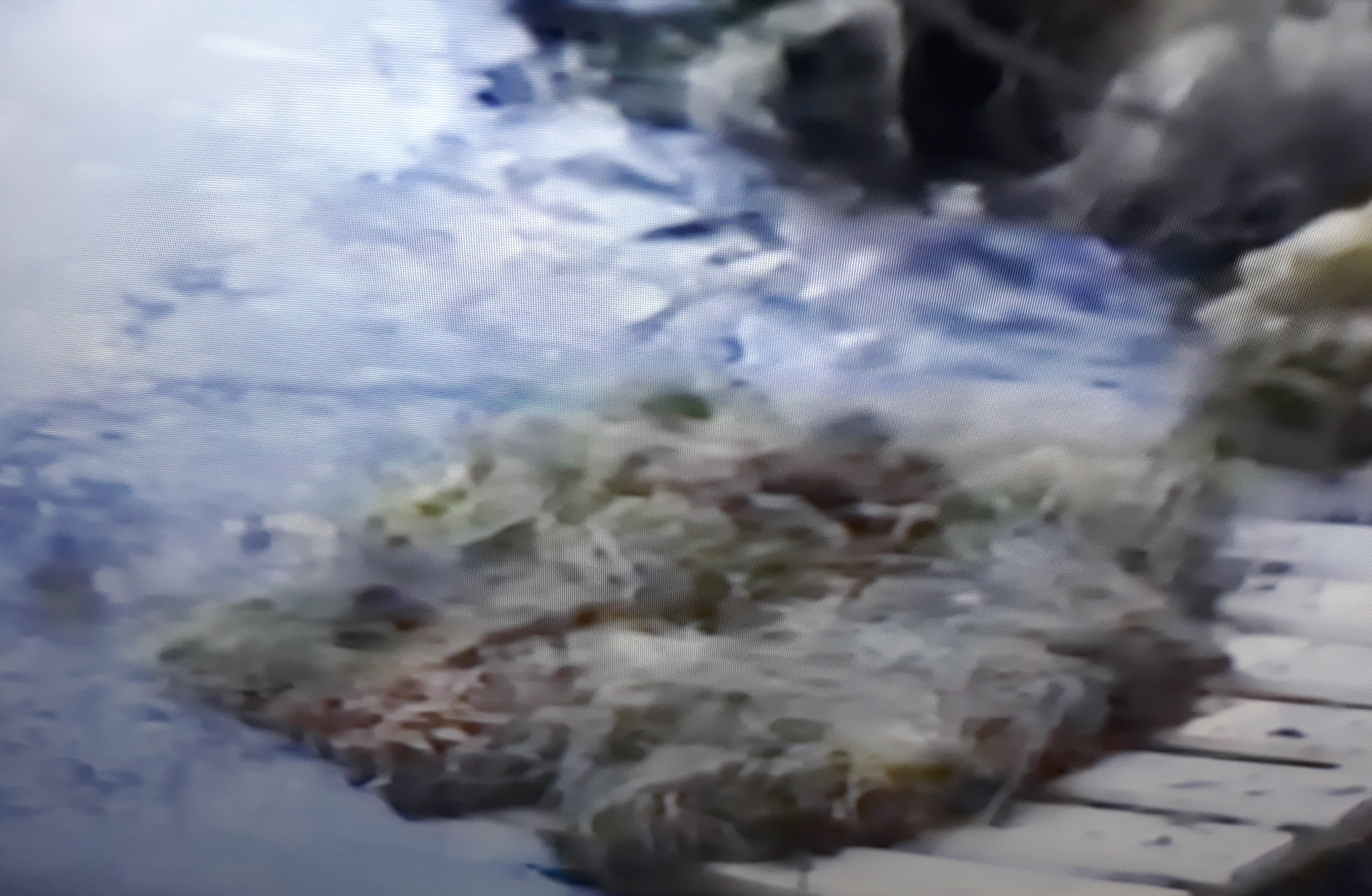 20180430_125315