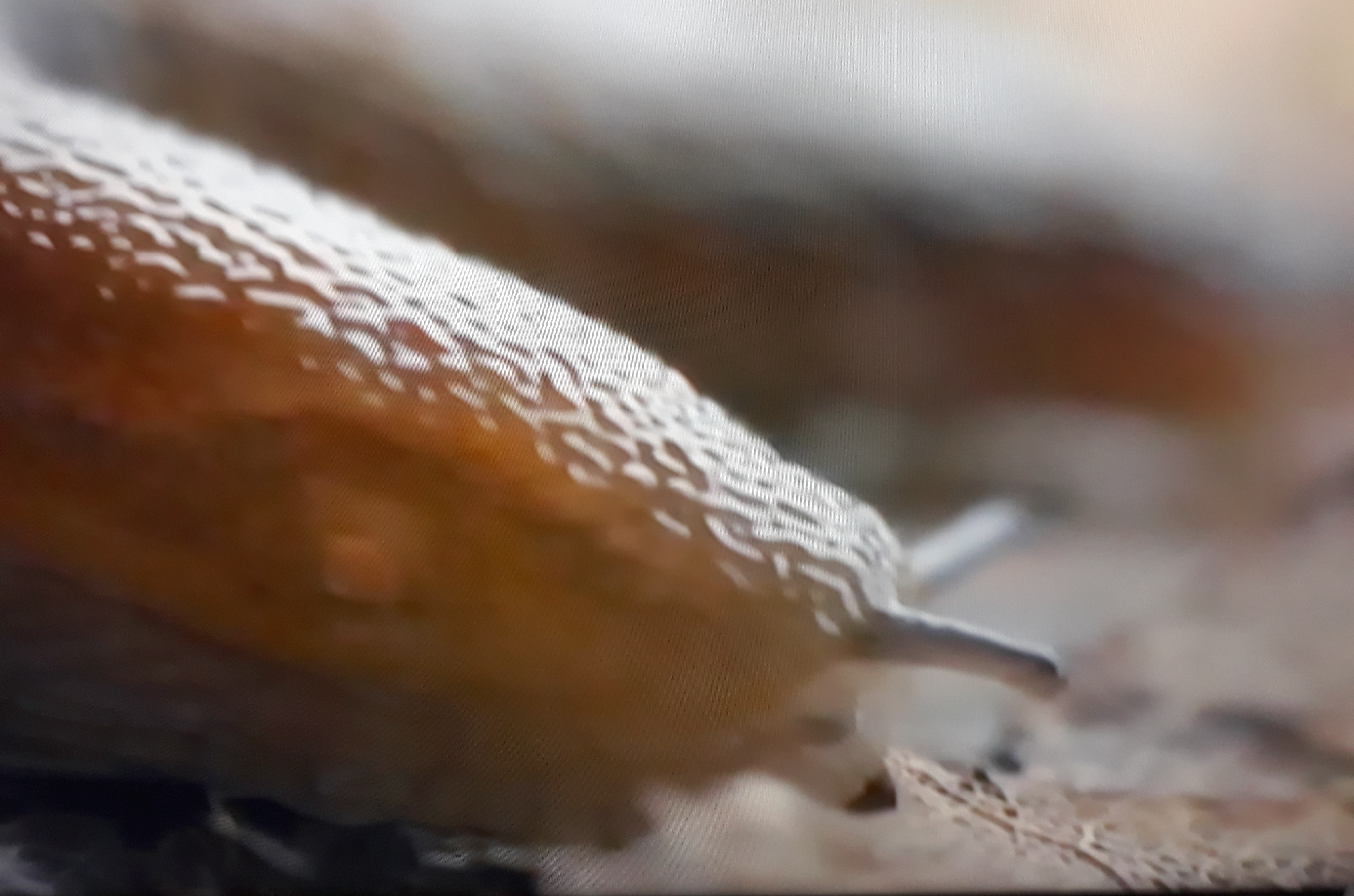 20180512_141450