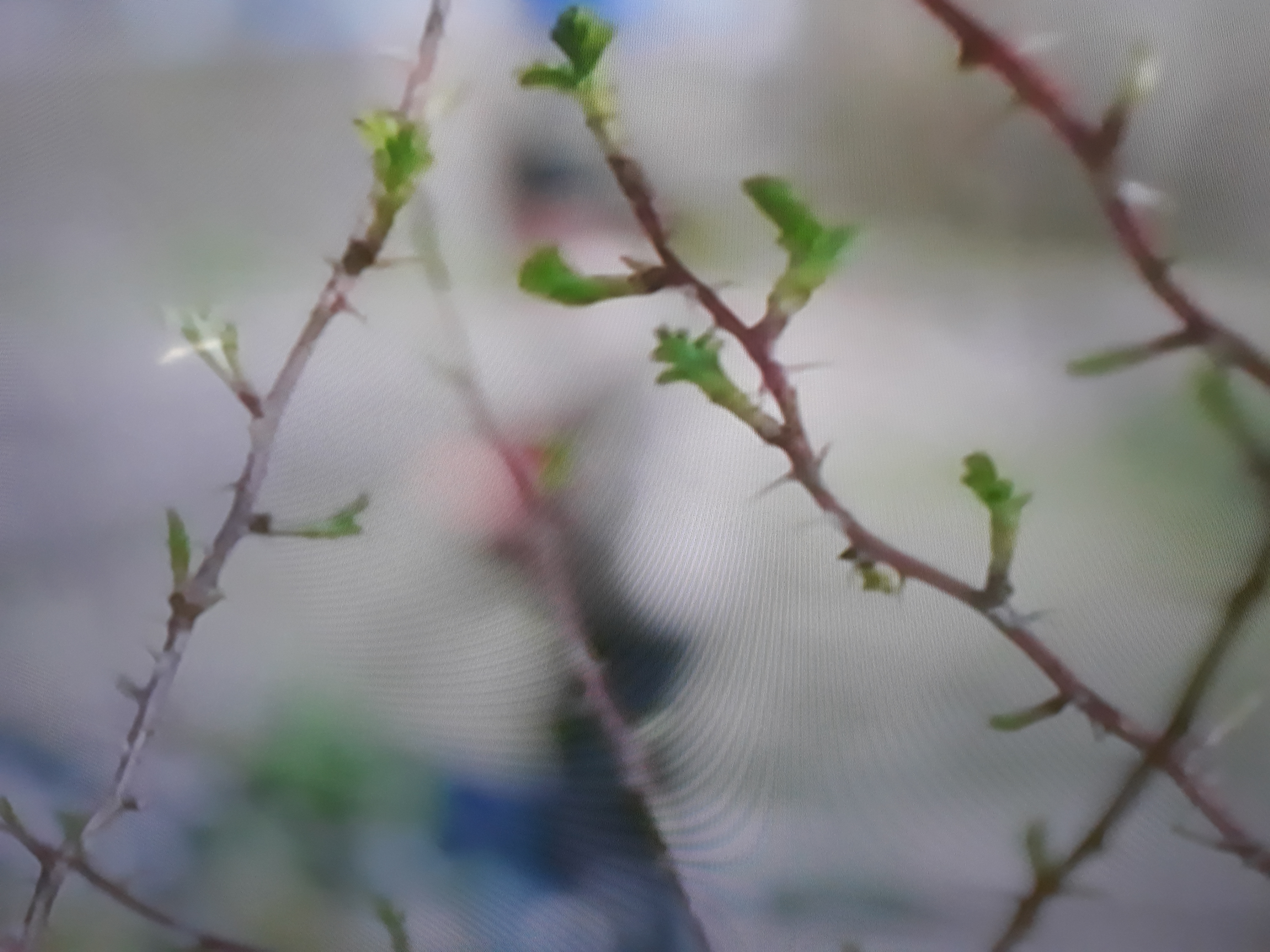 20180513_182852
