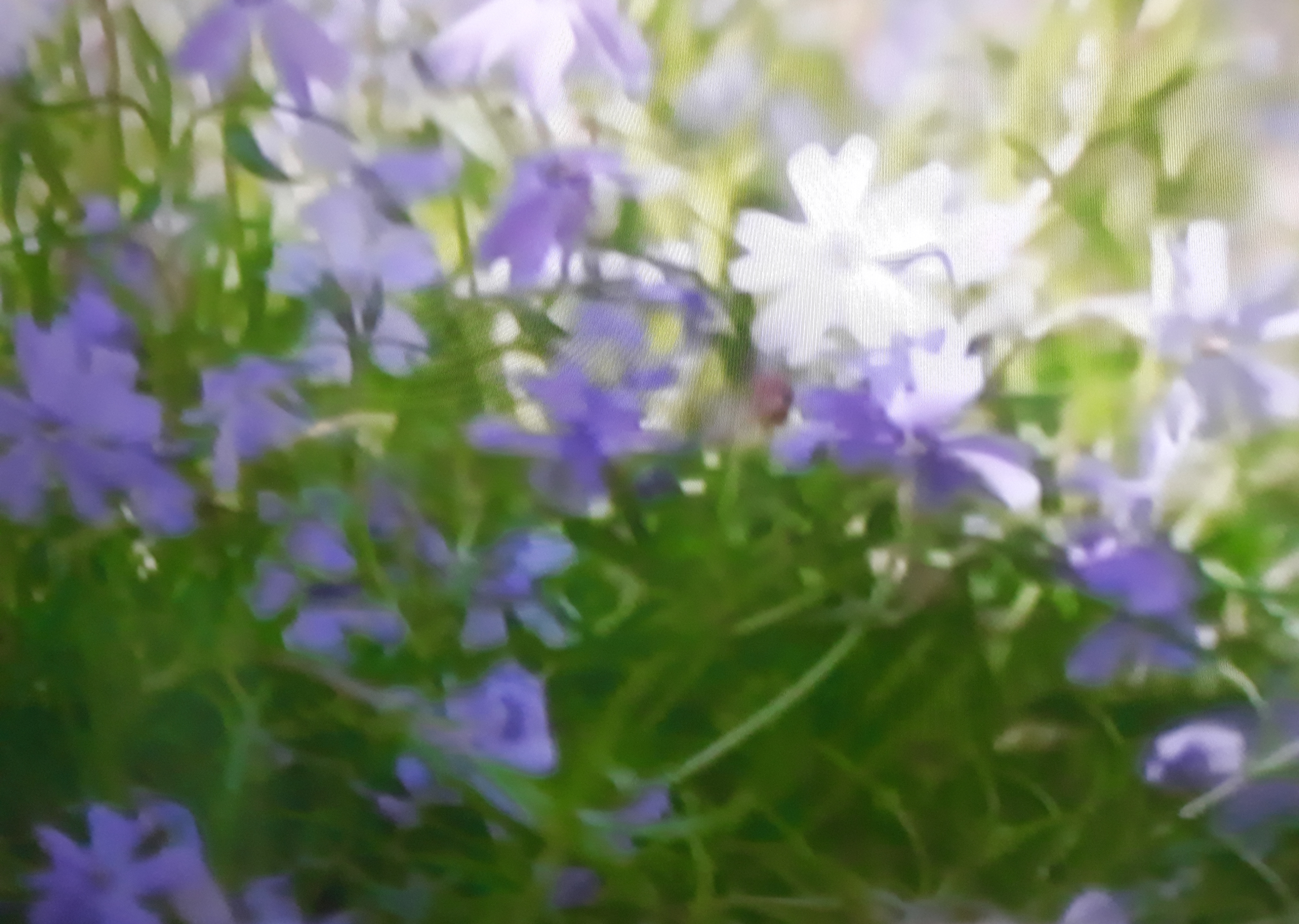 20180515_111451