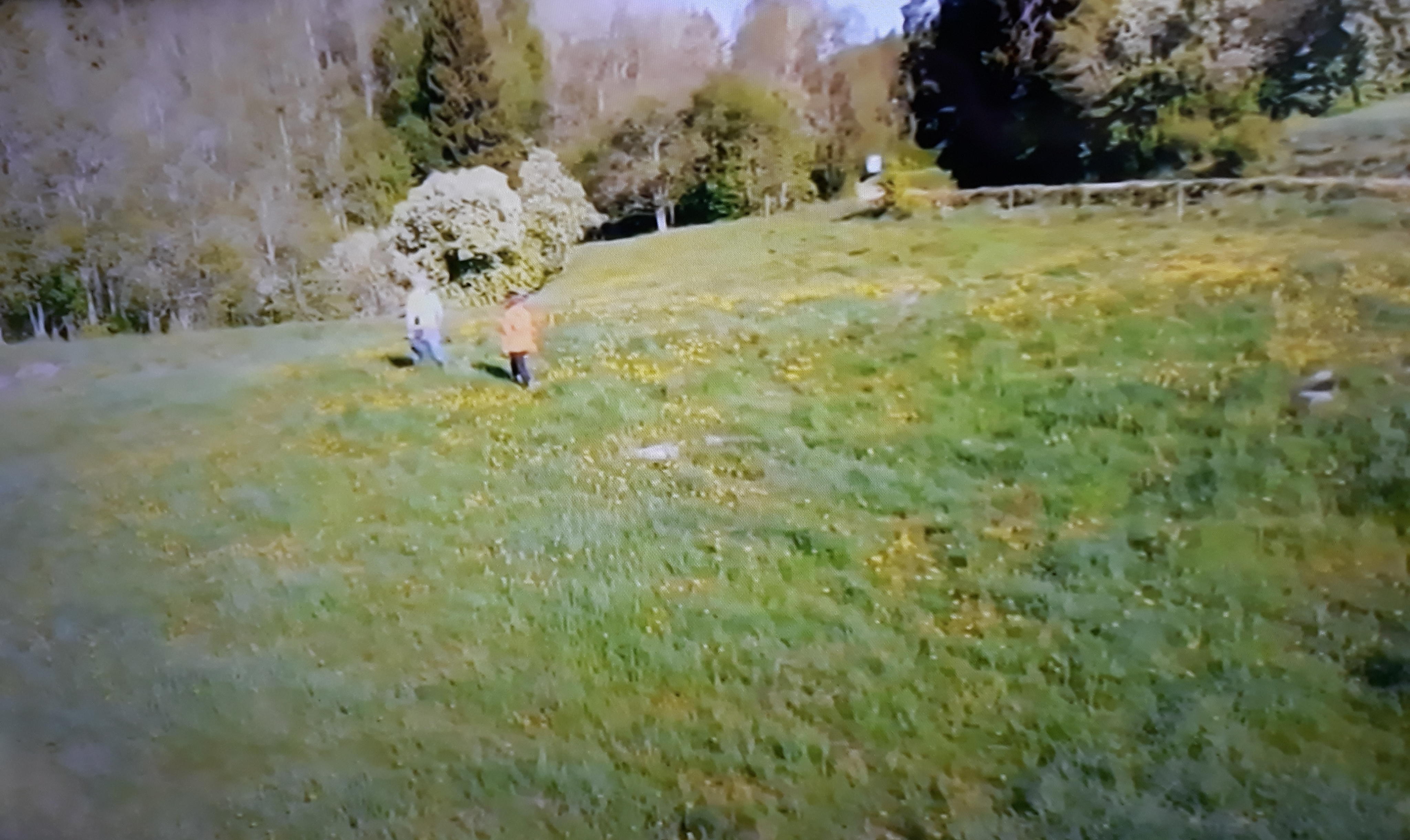 20180528_173059