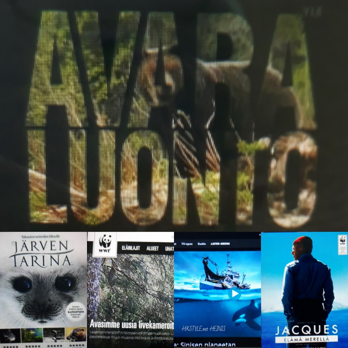 IMG_20180424_104816_015