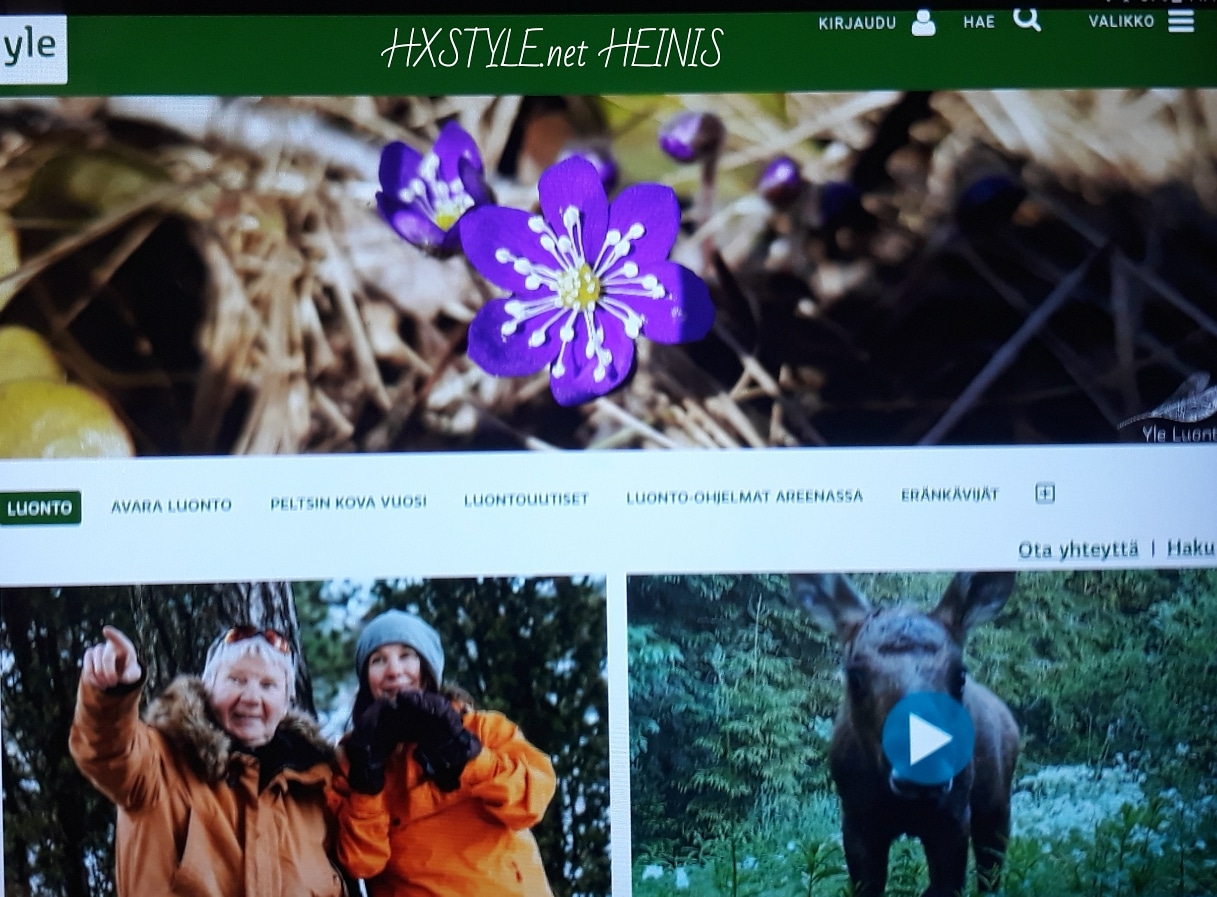 IMG_20180503_192316_494