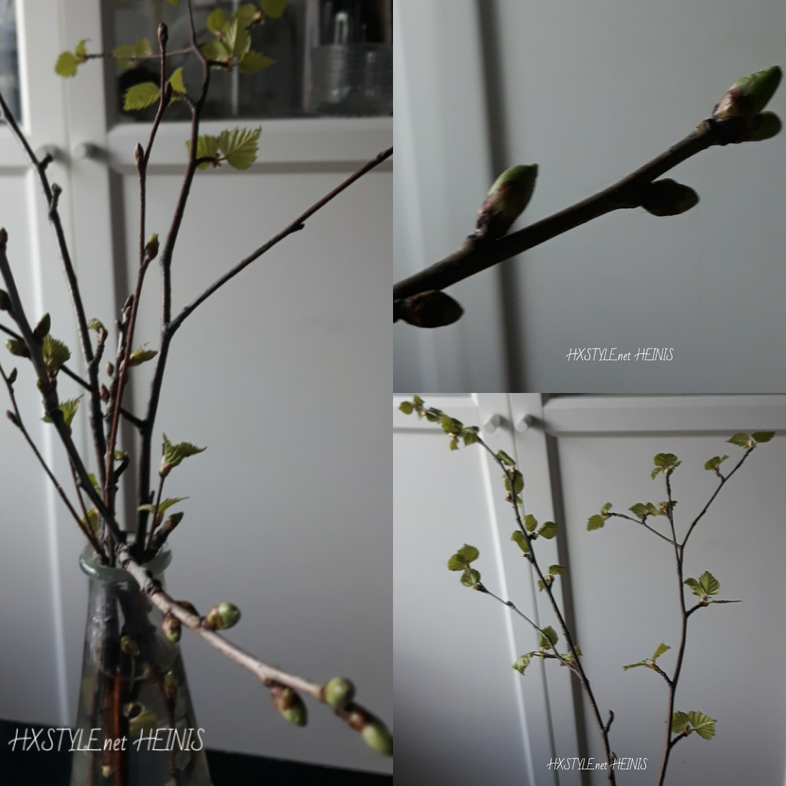 IMG_20180507_110030_110