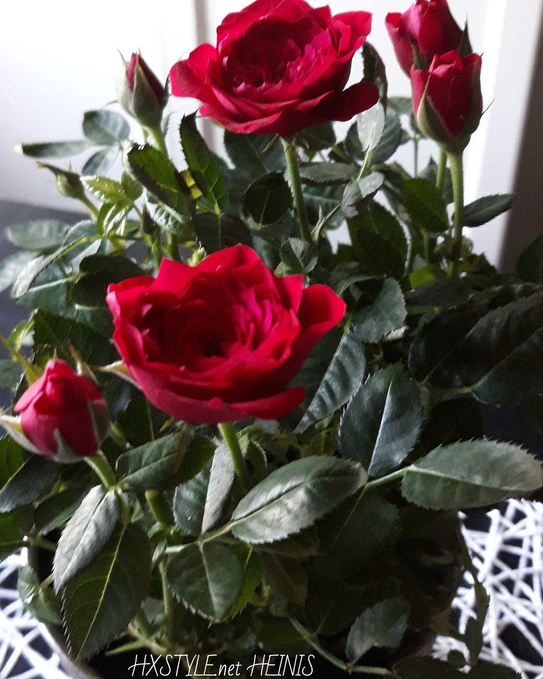 IMG_20180511_193200_892