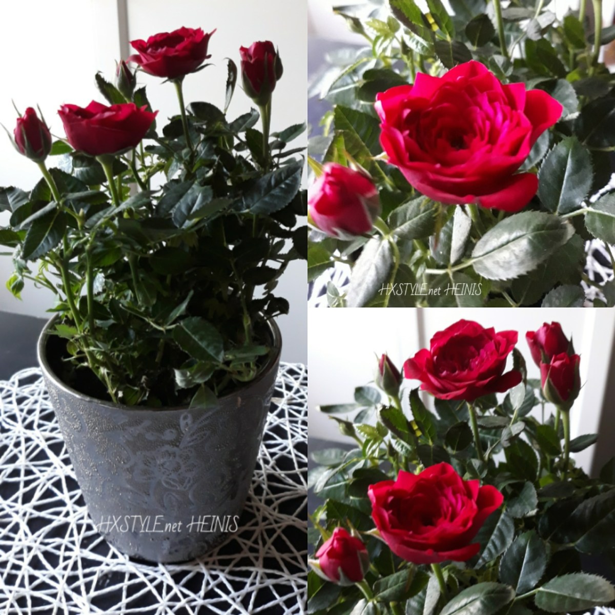 IMG_20180513_102500_540