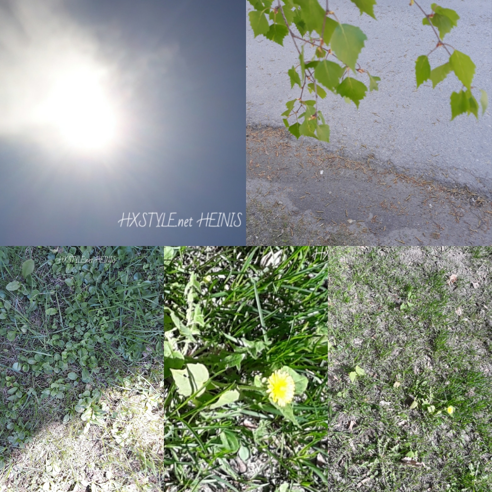 IMG_20180514_191550_189