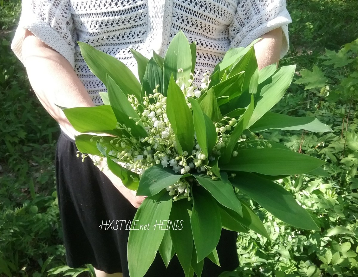 IMG_20180528_201737_698