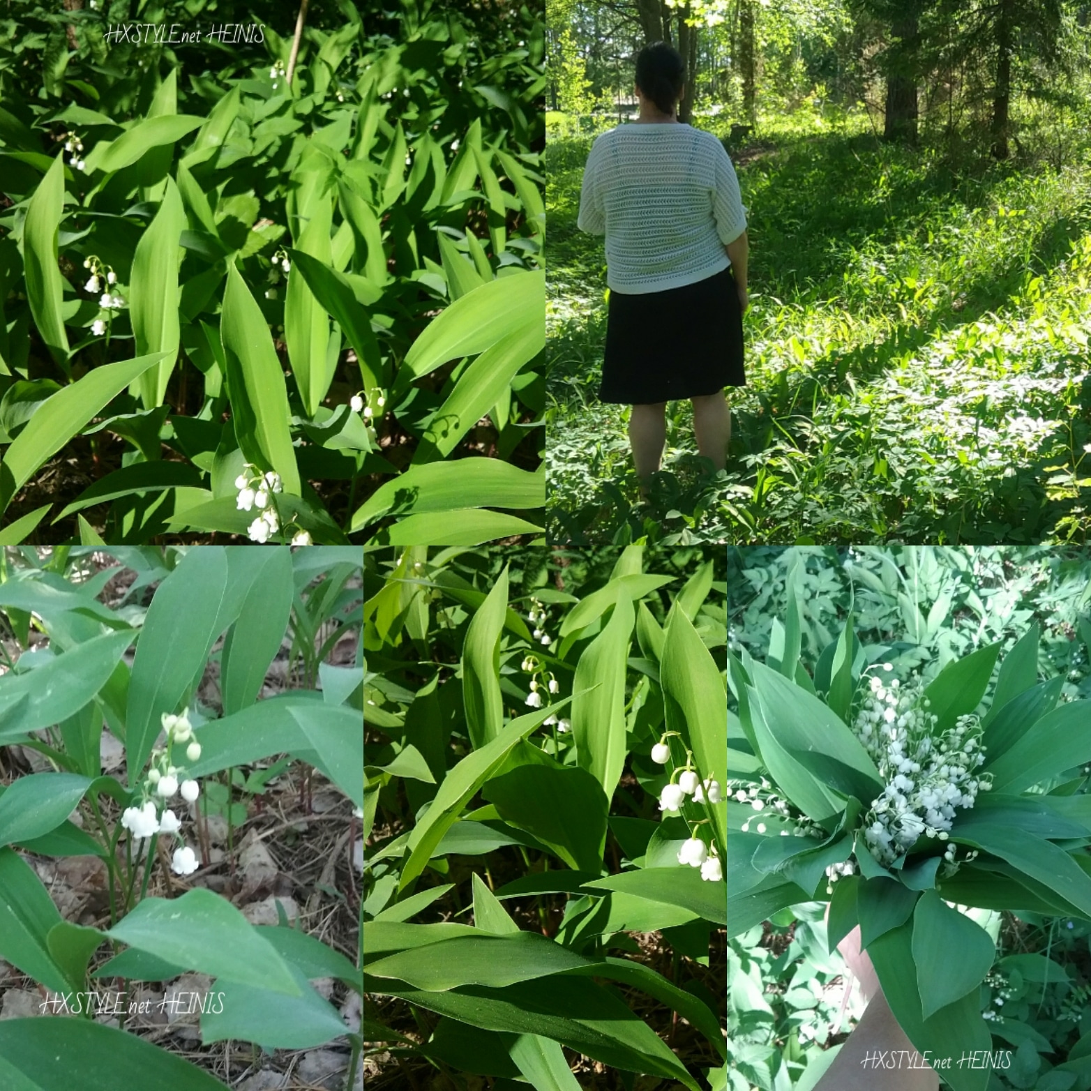 IMG_20180529_093328_578