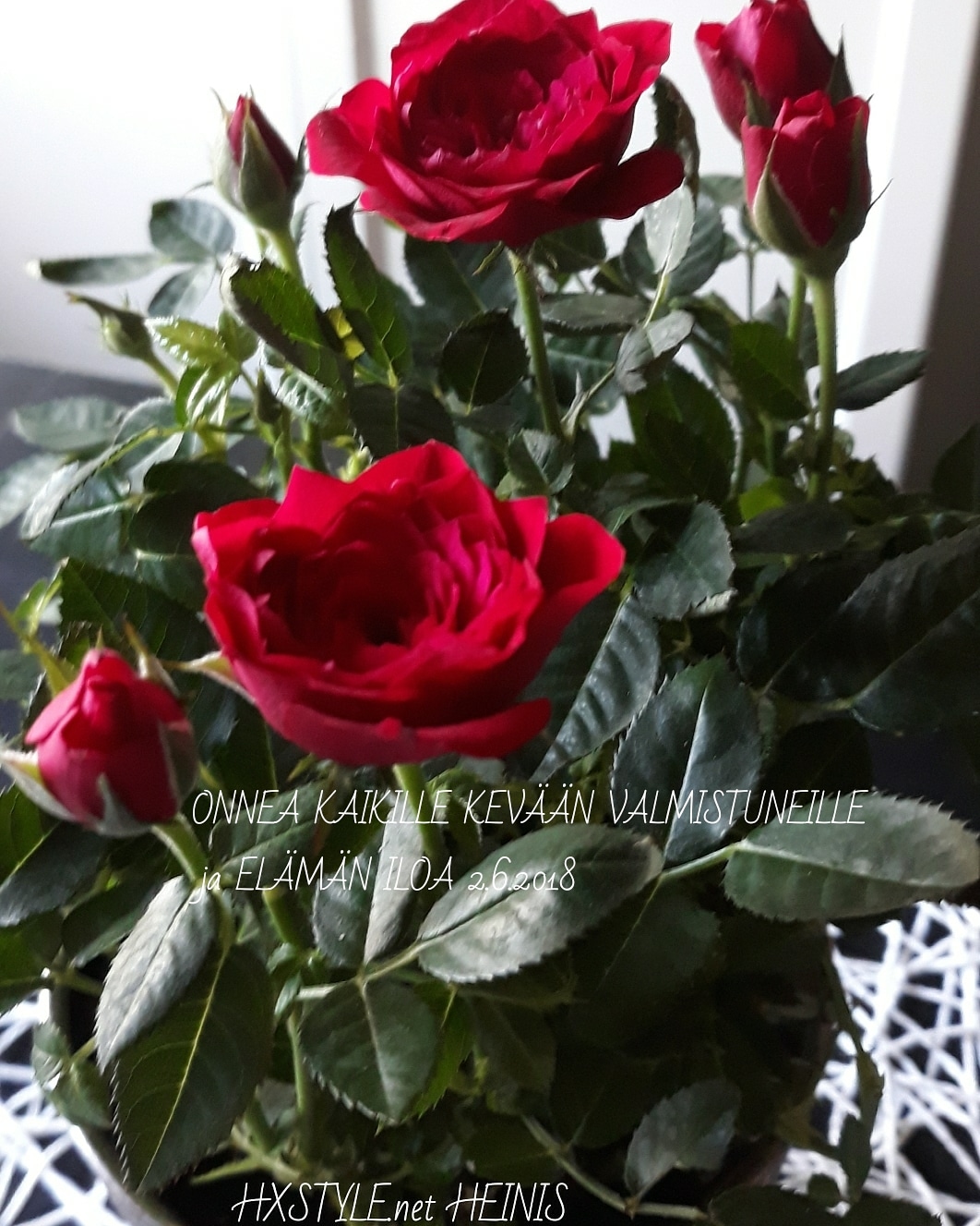 IMG_20180601_172152_988