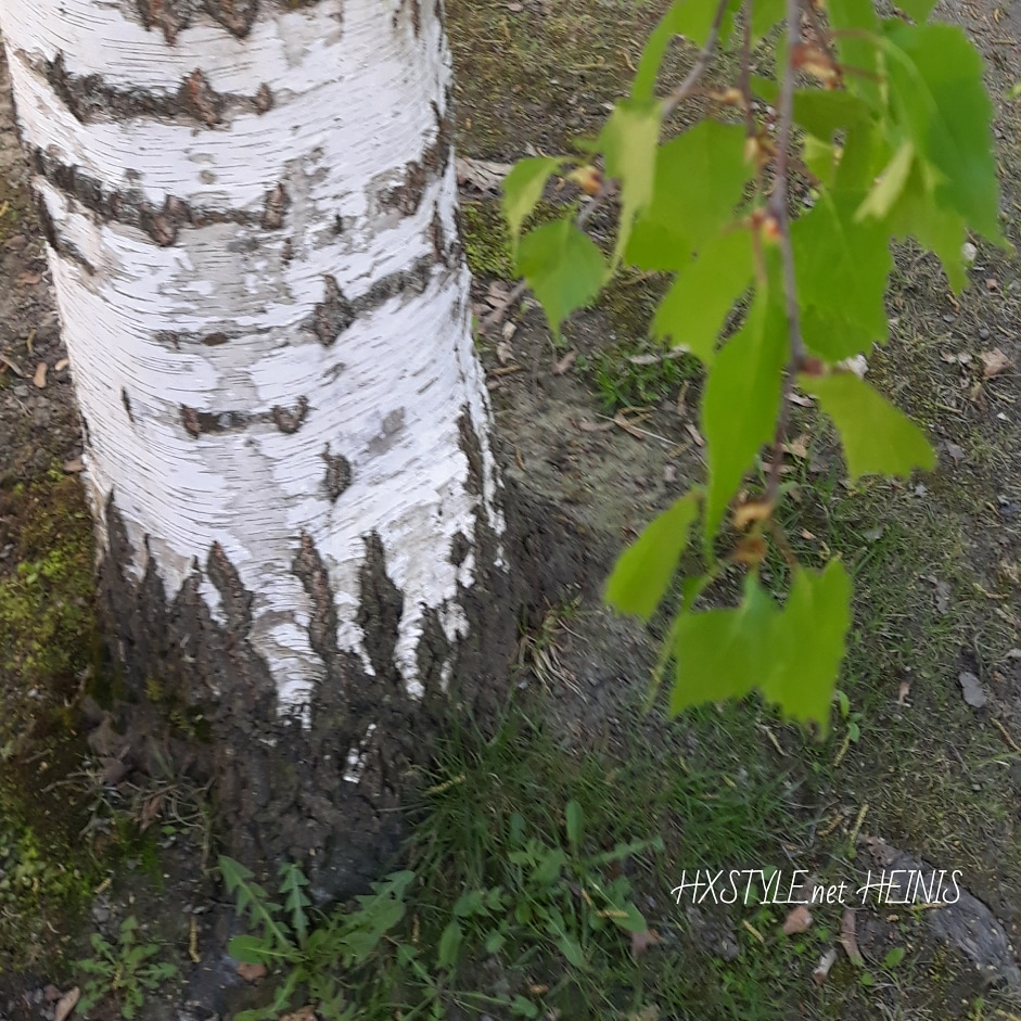 IMG_20180514_190722_159