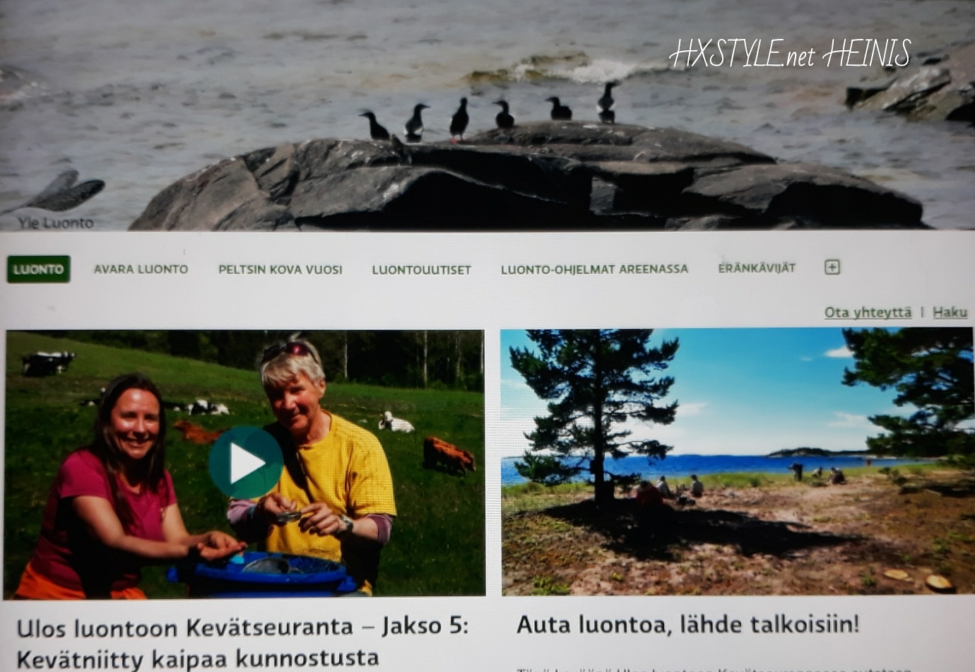 IMG_20180529_194229_921