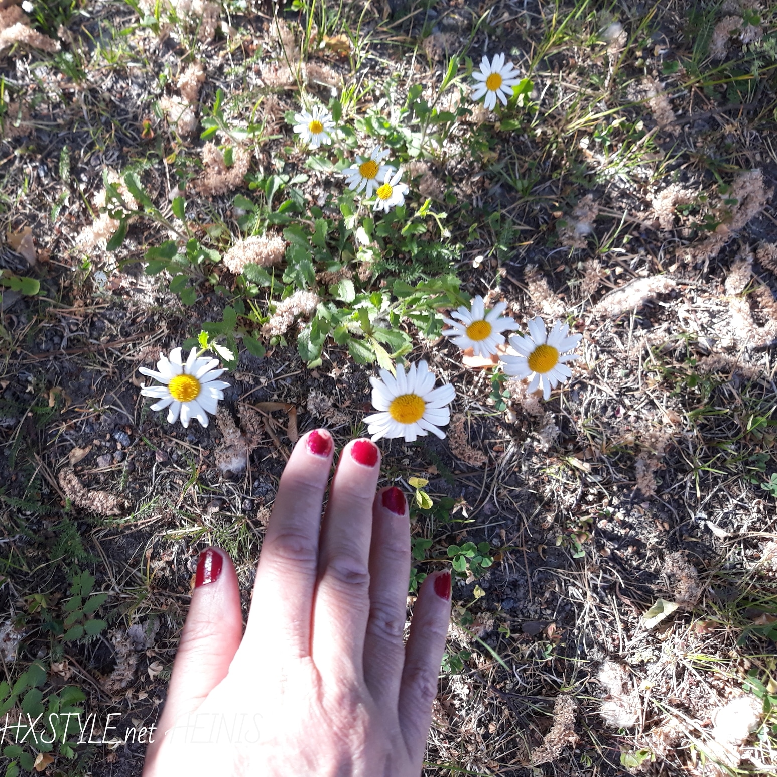 IMG_20180615_133211_999