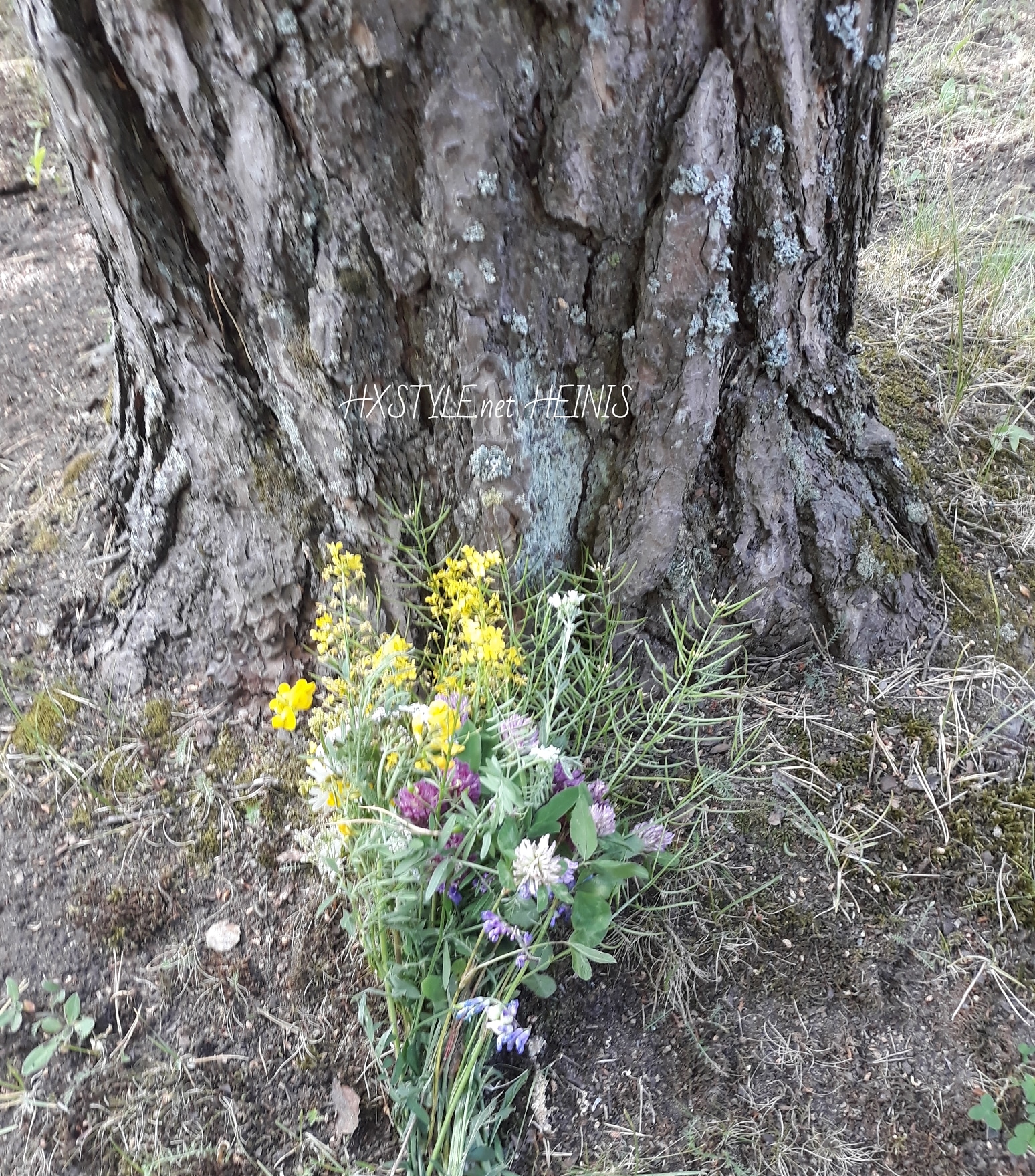 IMG_20180615_163843_641