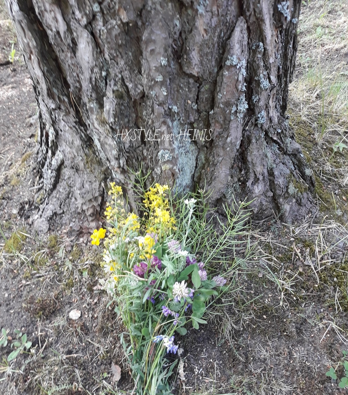 IMG_20180615_163843_641