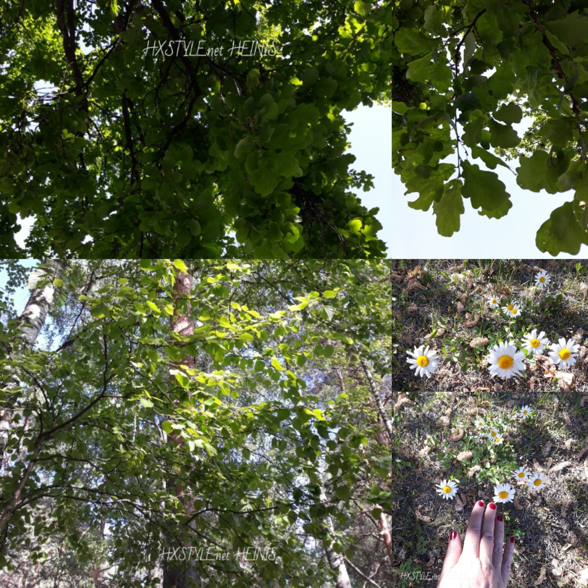 IMG_20180615_164754_511