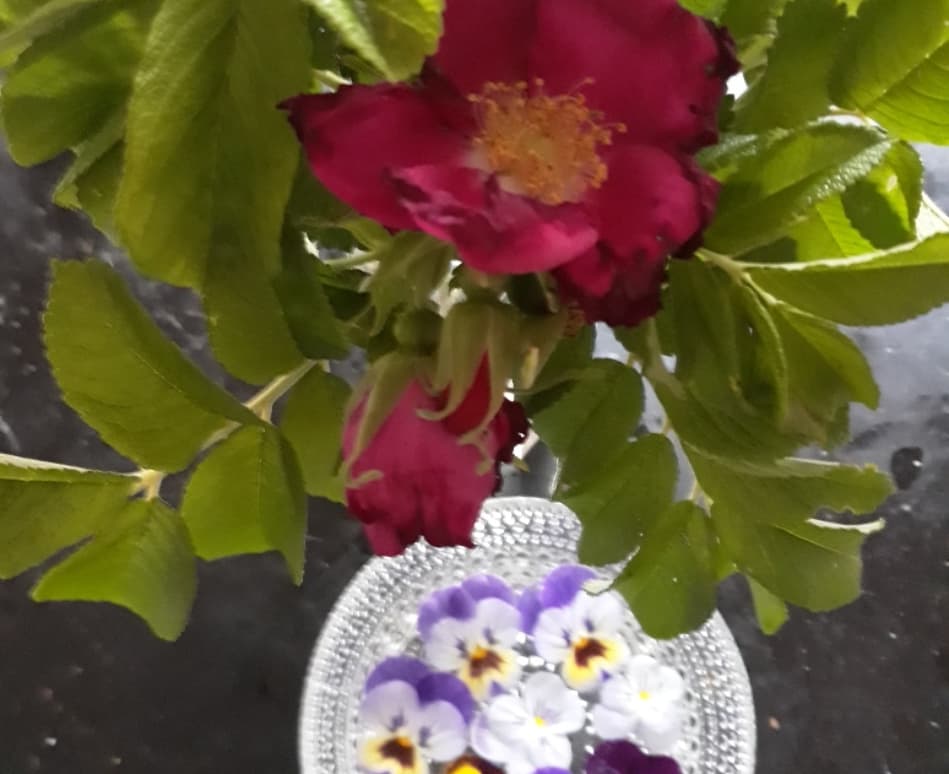 IMG_20180622_084024_658