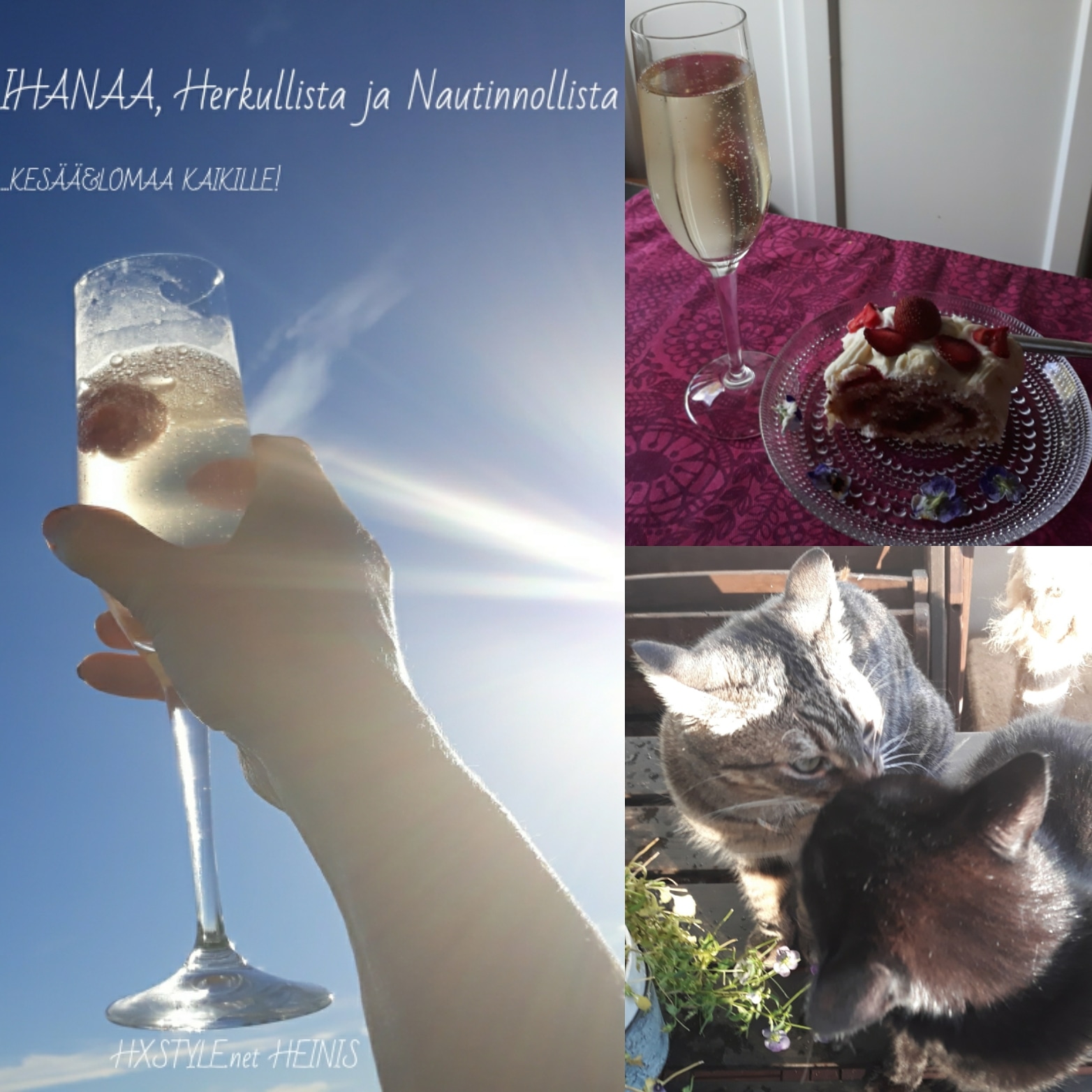 IMG_20180624_161539_840