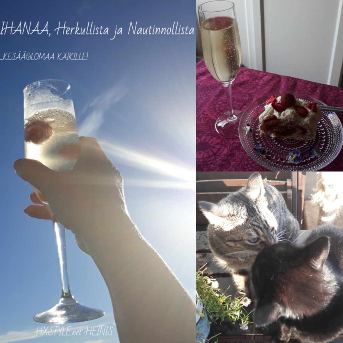 IMG_20180624_161539_840