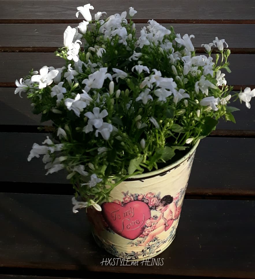 IMG_20180628_190758_782