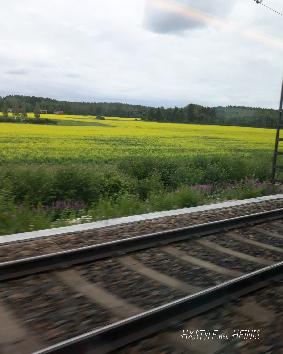 IMG_20180727_104019_471