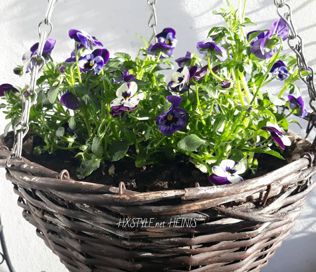 IMG_20180424_102433_760