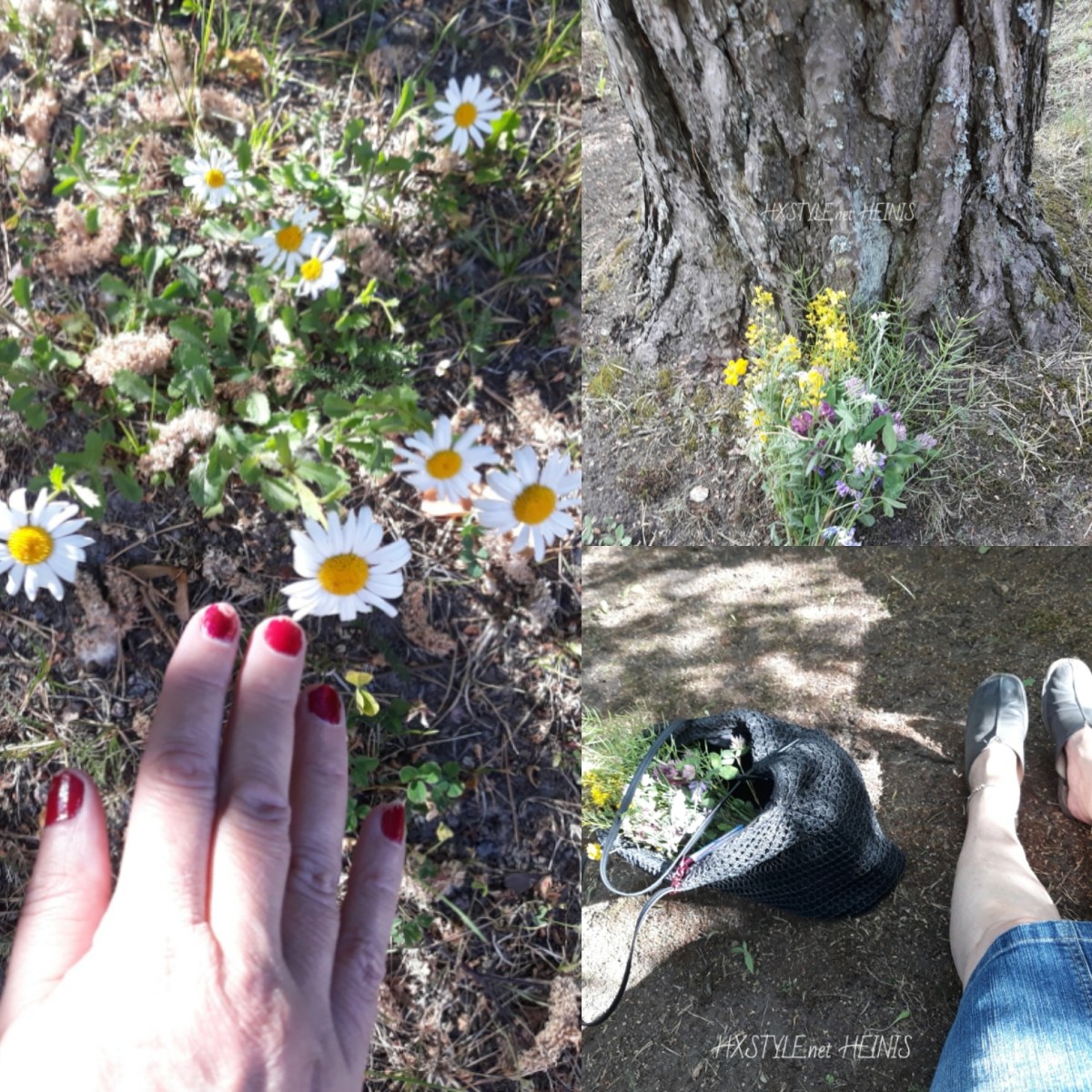 IMG_20180619_094429_048