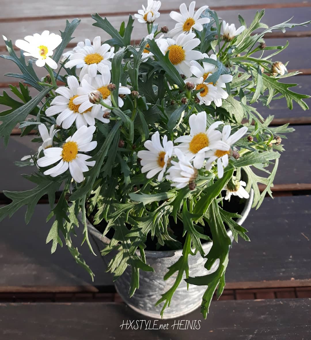 IMG_20180628_190758_781