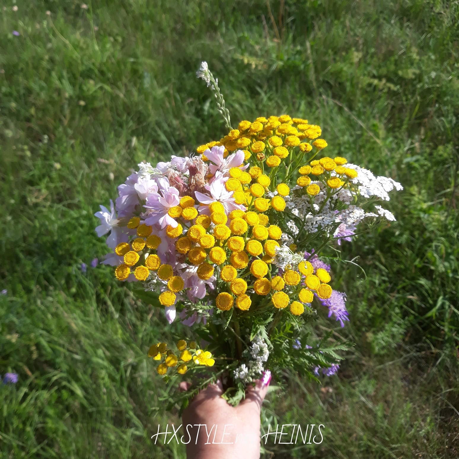 IMG_20180813_084816_579