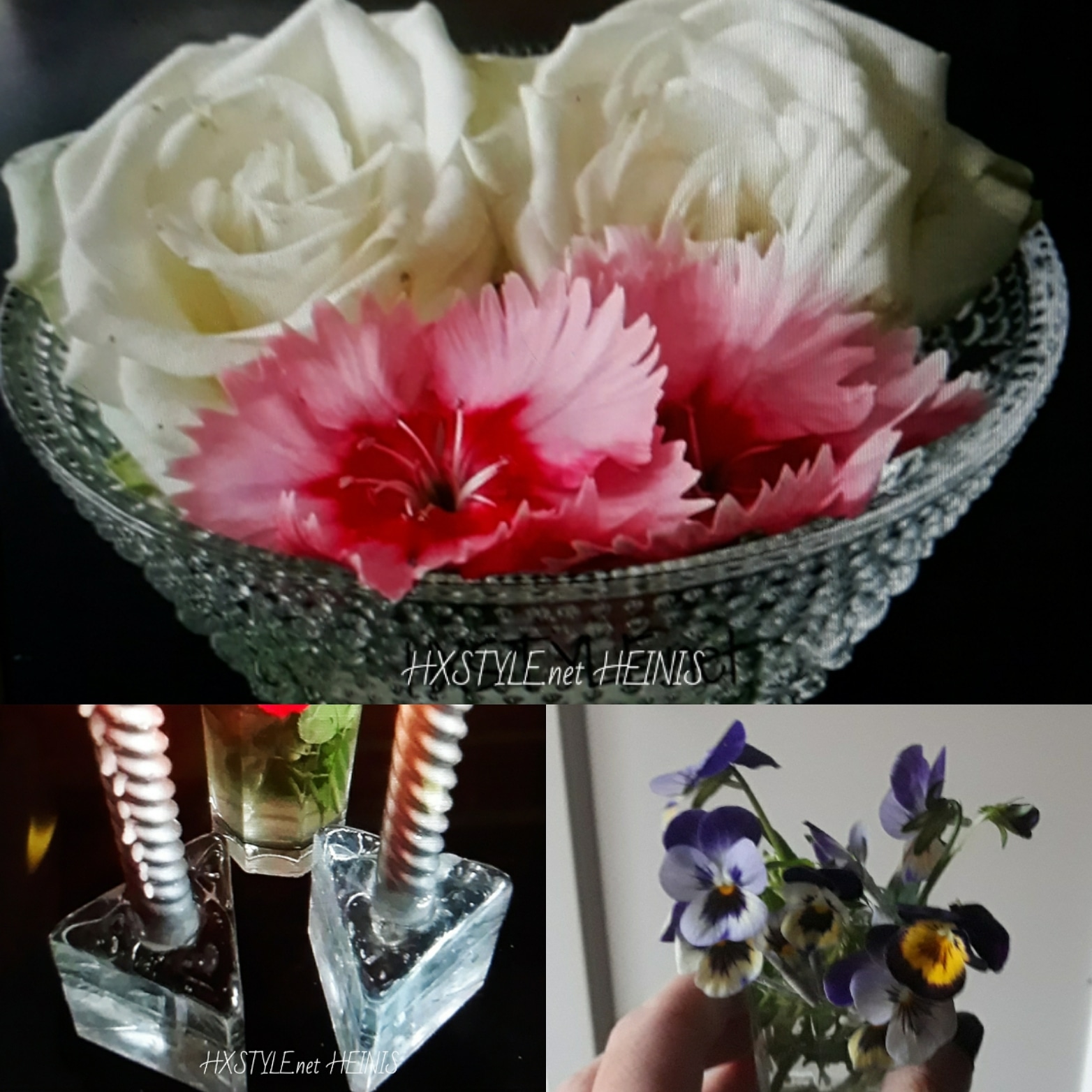 IMG_20180821_201038_149