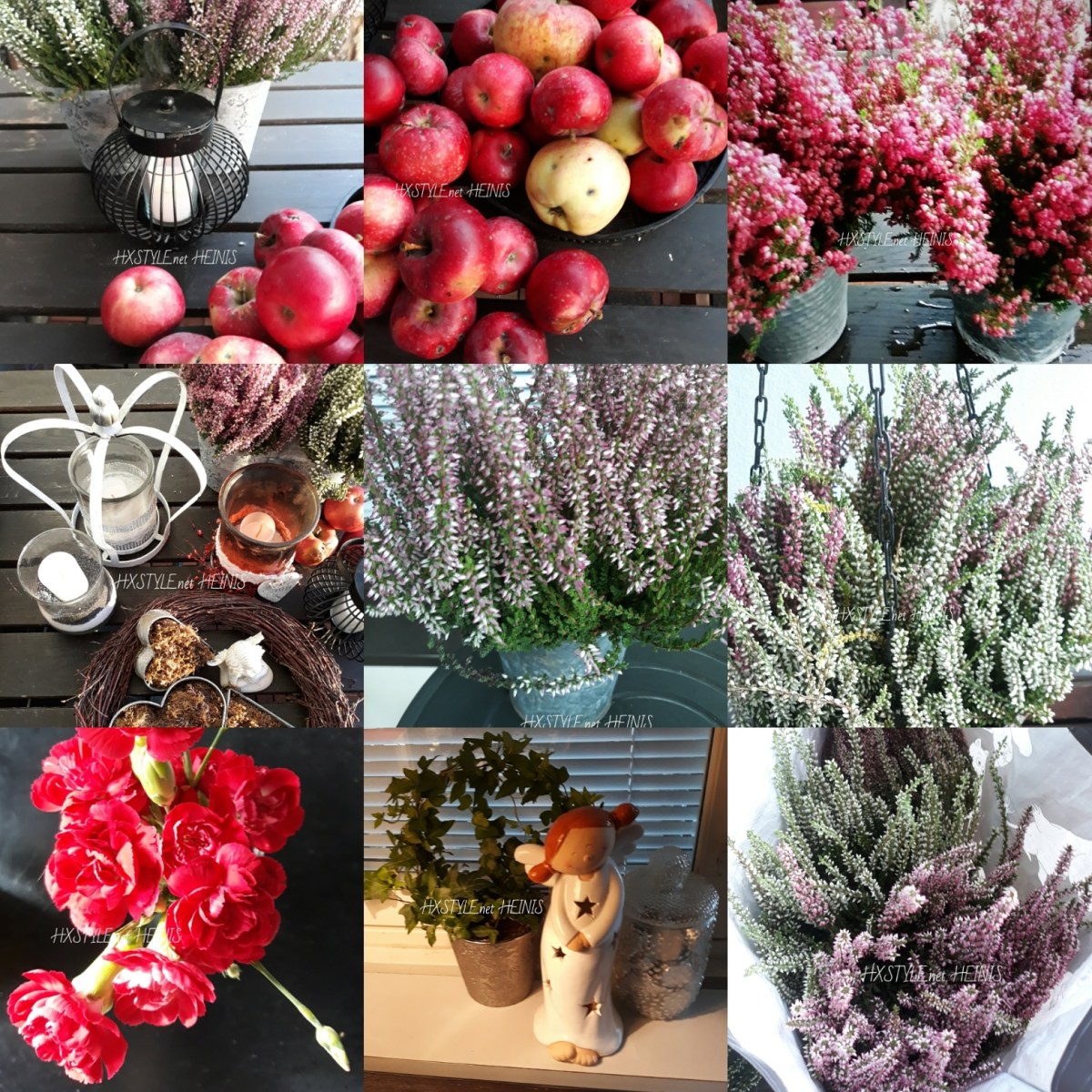 IMG_20180914_125636_706