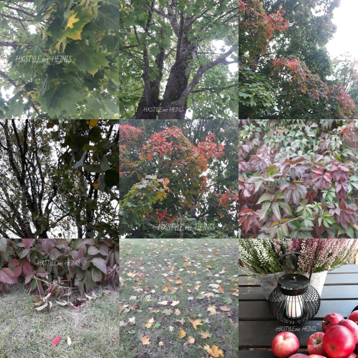 IMG_20180919_184219_902