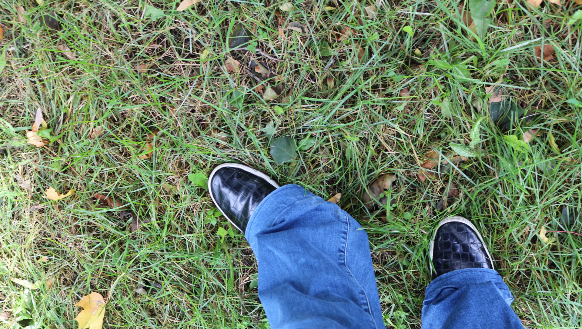 cropped-img_5677.jpg