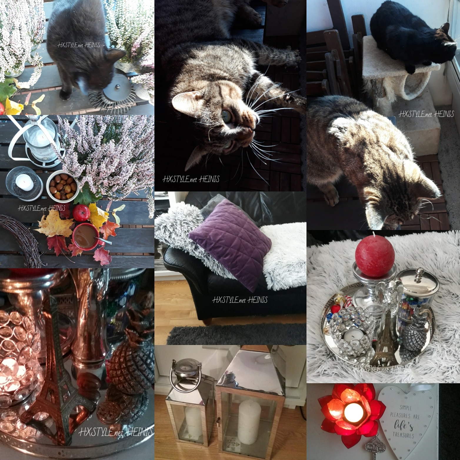 IMG_20181005_192503_753