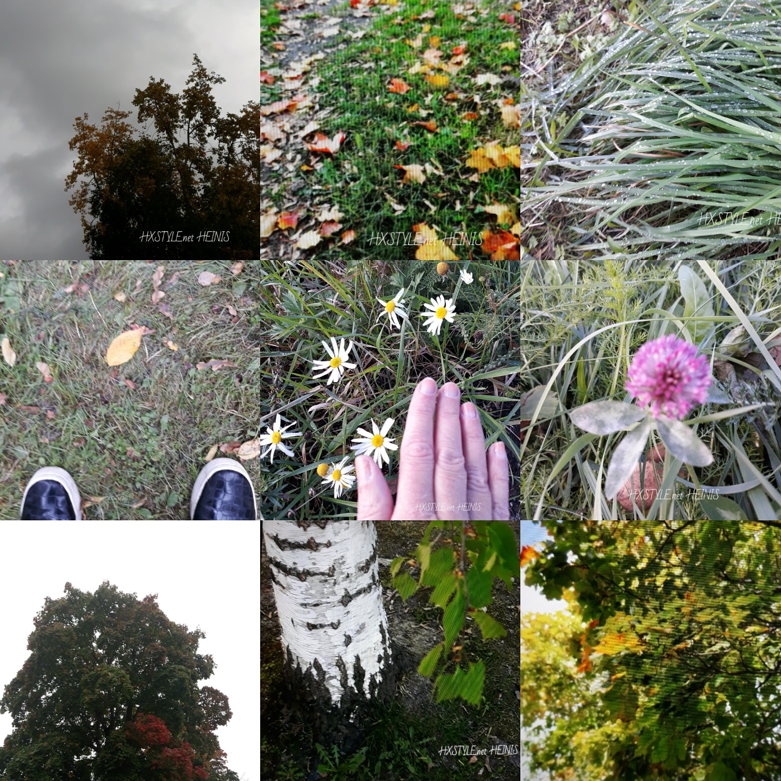 IMG_20181022_172311_039