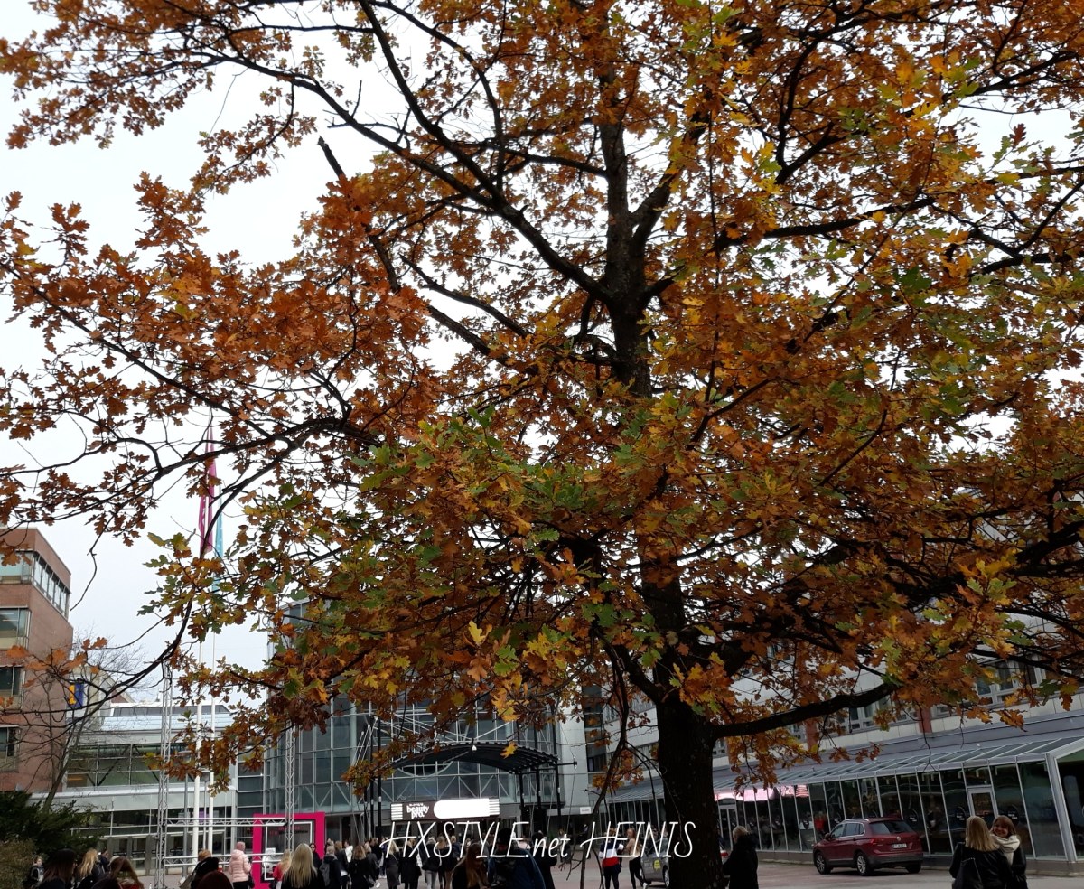 IMG_20181023_093148_181