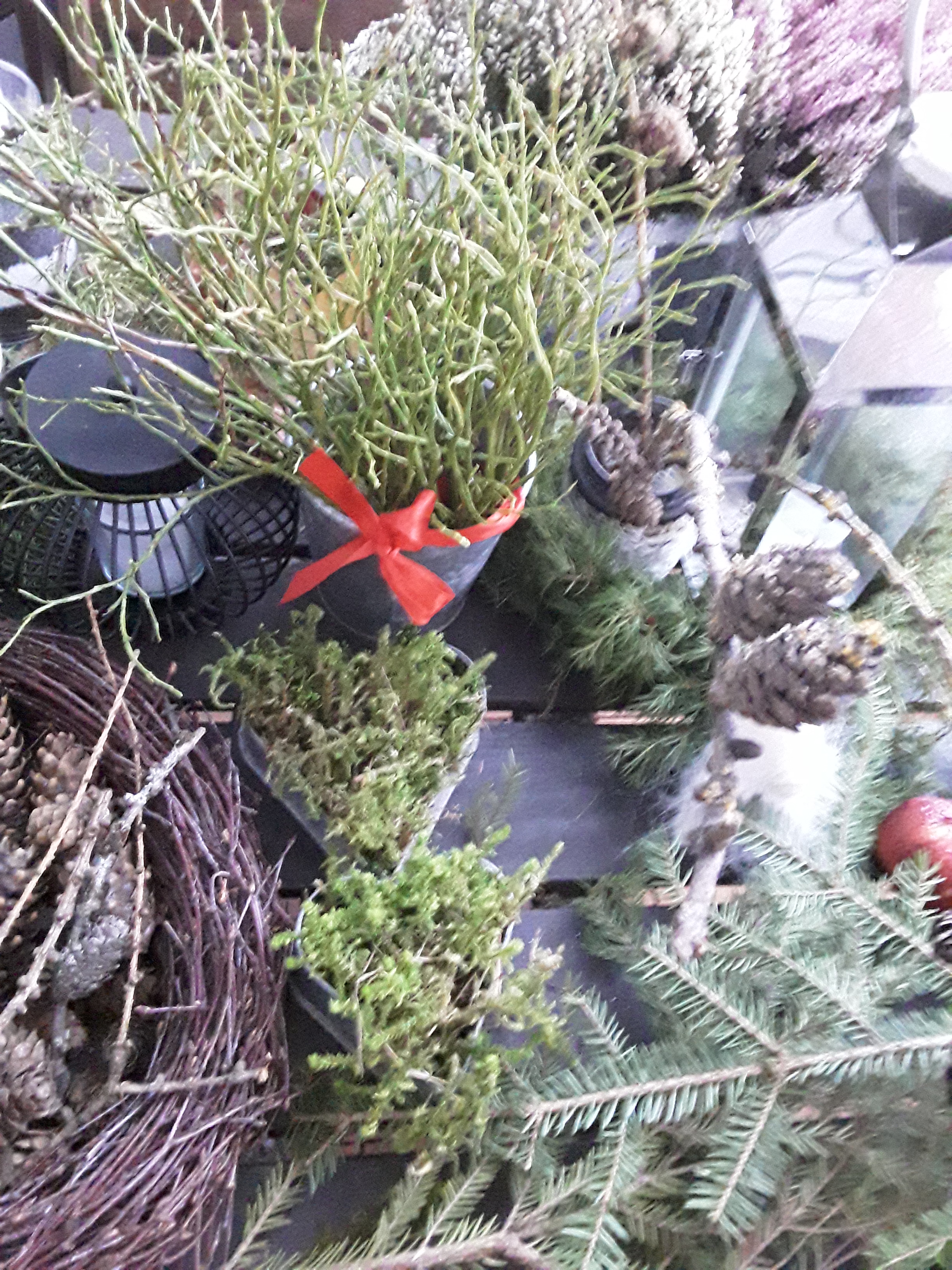 20181202_093549(0)