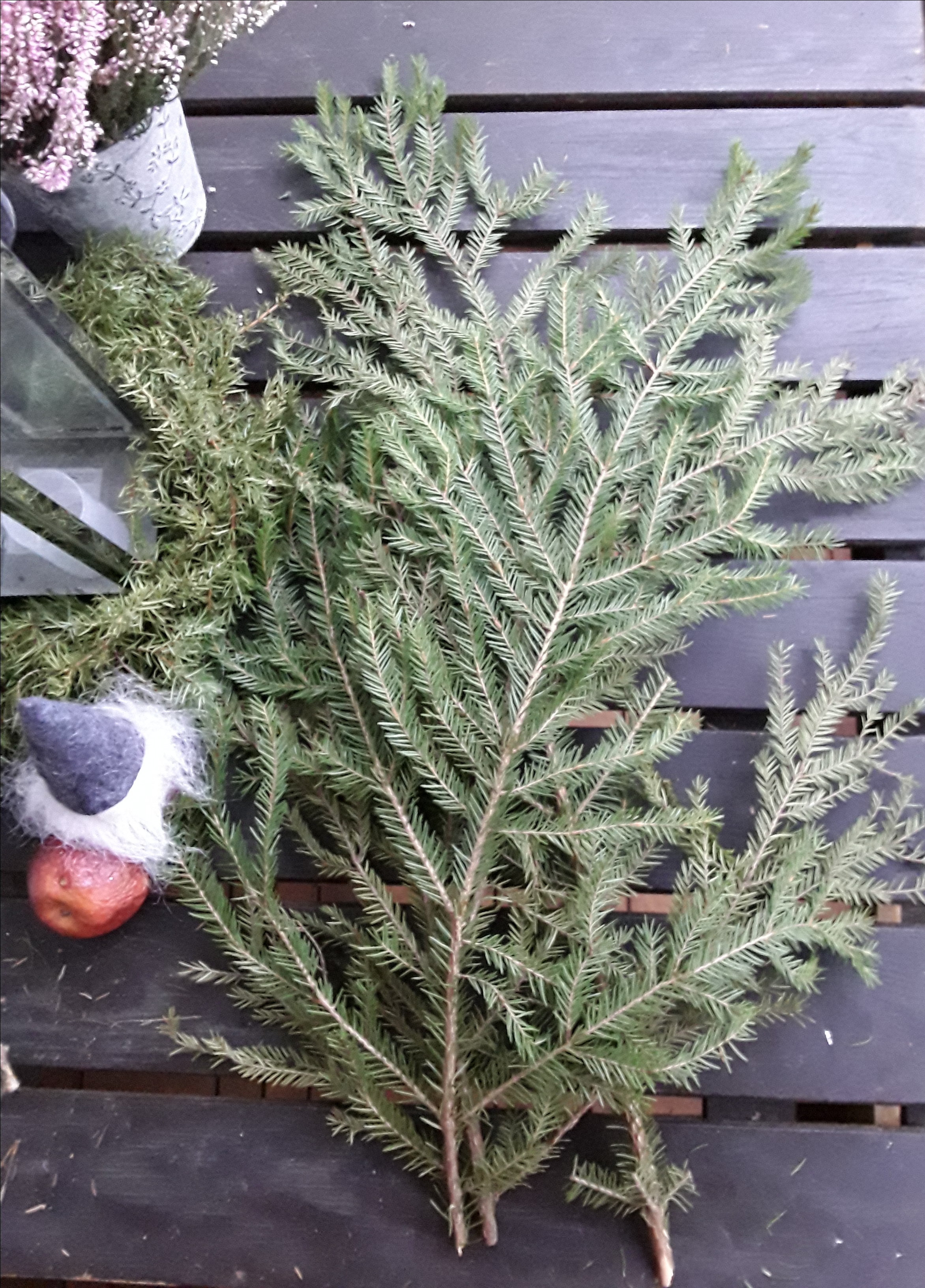 20181202_094331