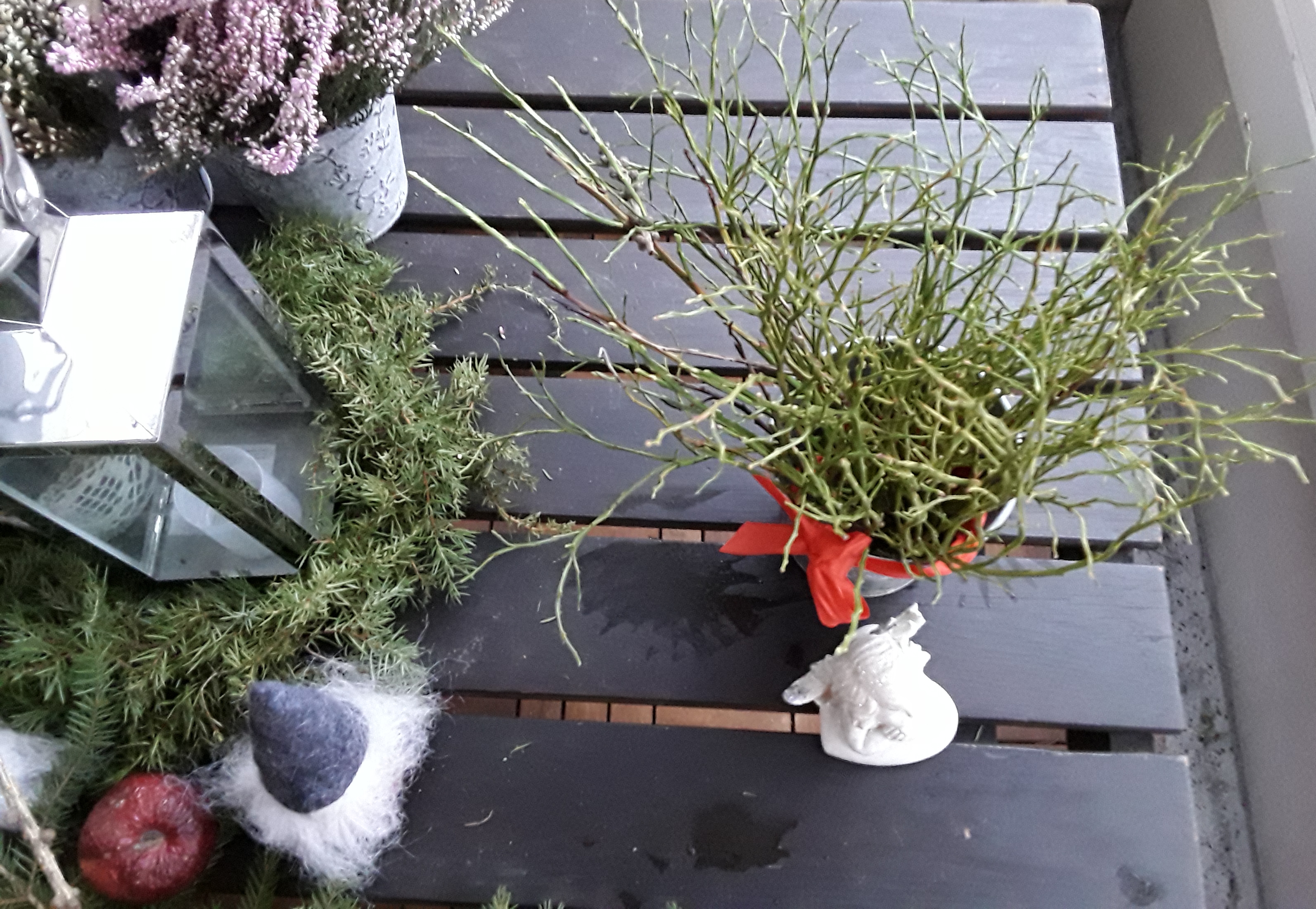 20181202_094414
