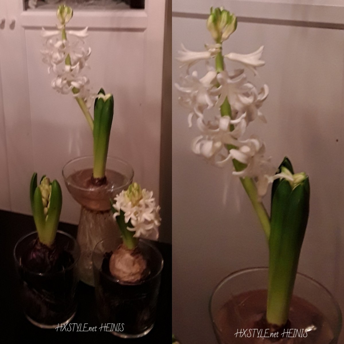 IMG_20181211_100036_586