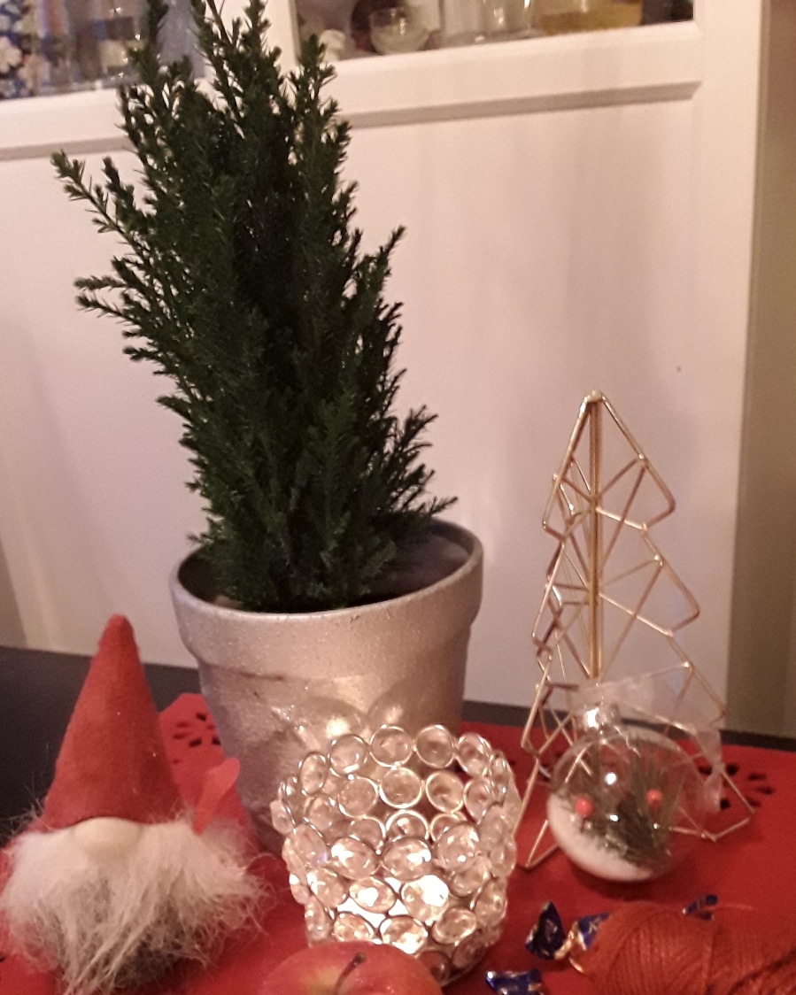 IMG_20181216_105152_780