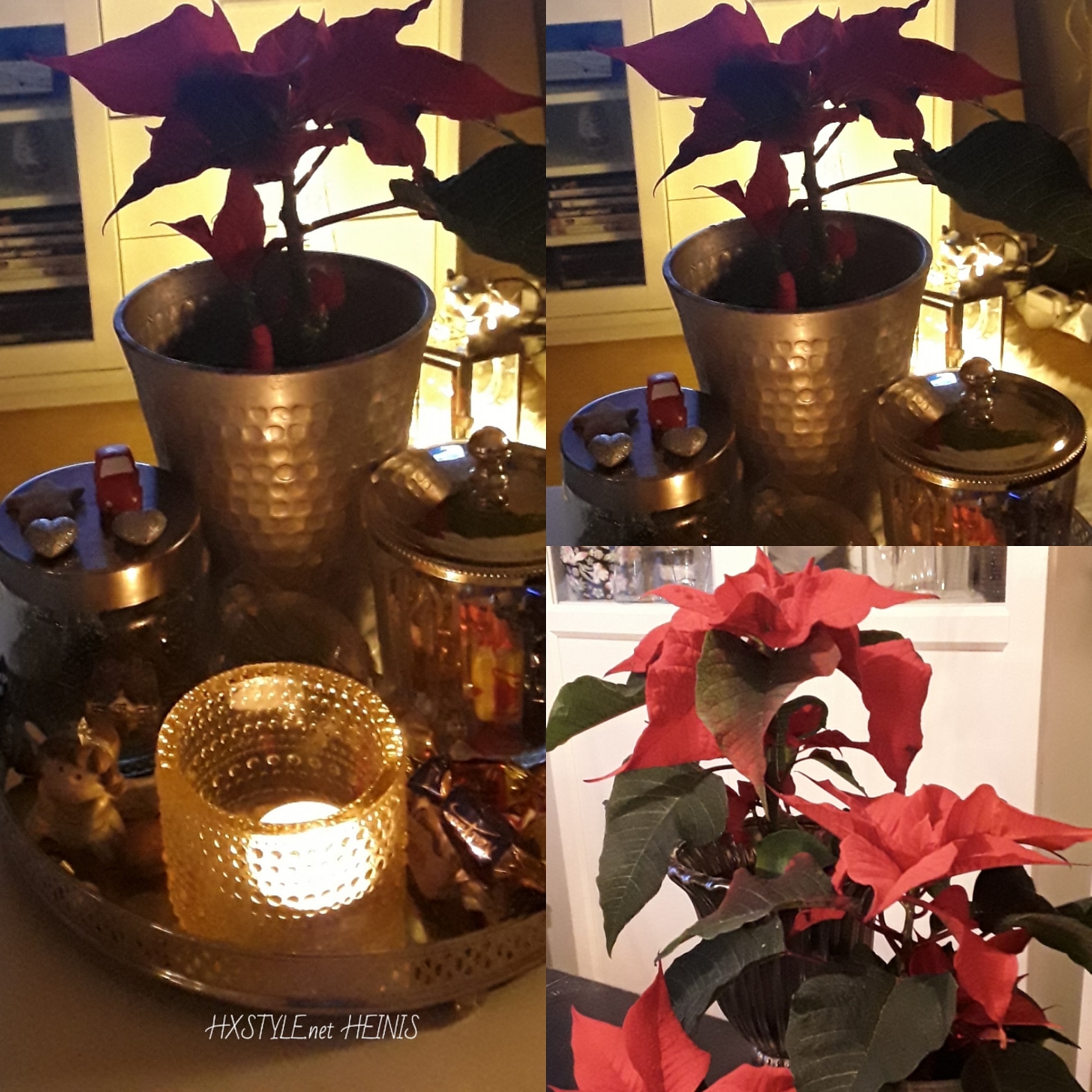 IMG_20181223_194408_419