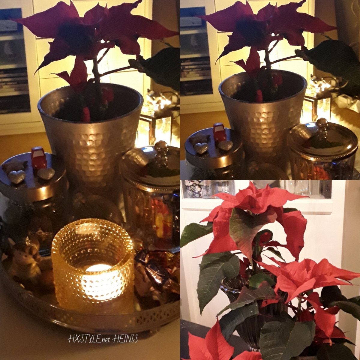 IMG_20181223_194408_419