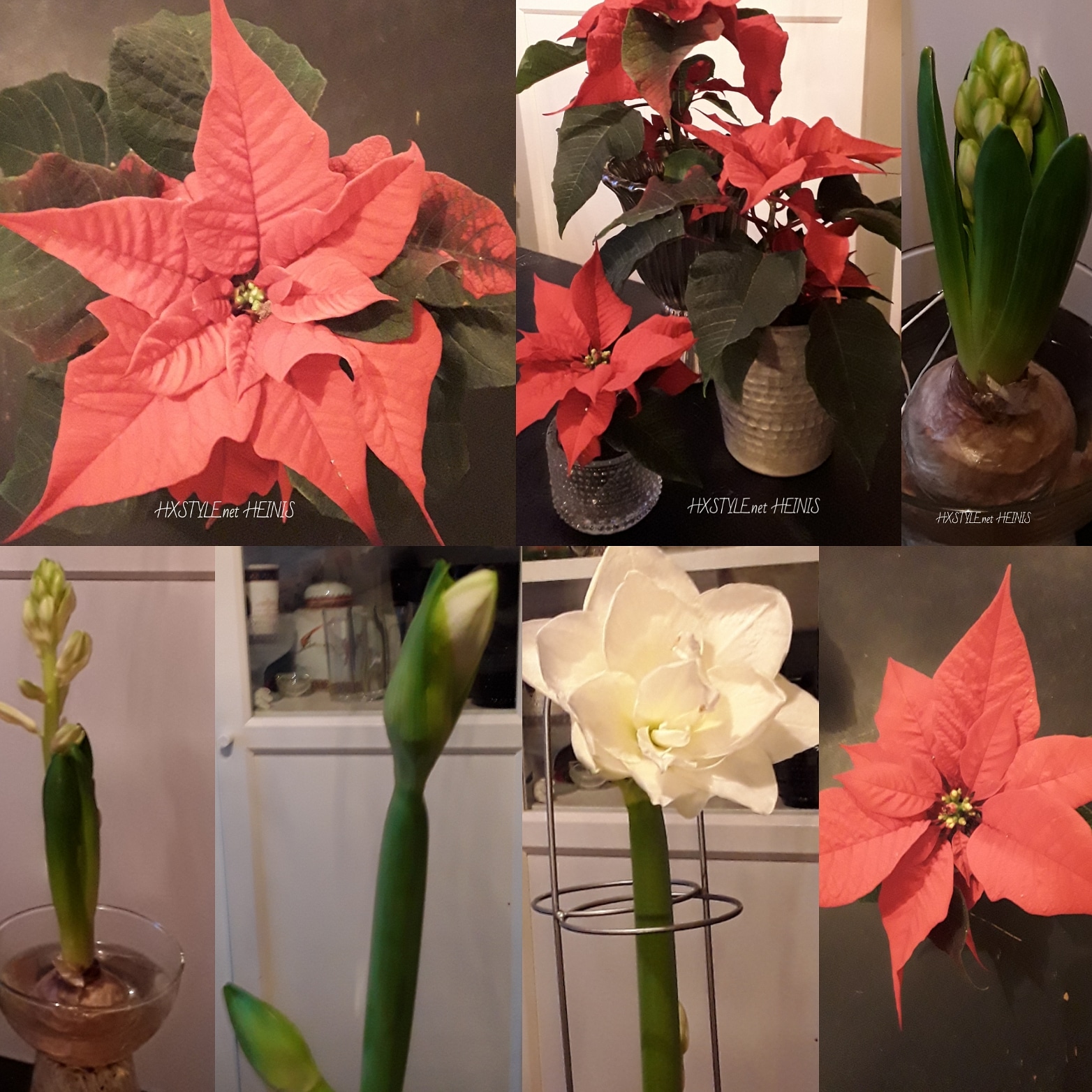 IMG_20181210_091512_641