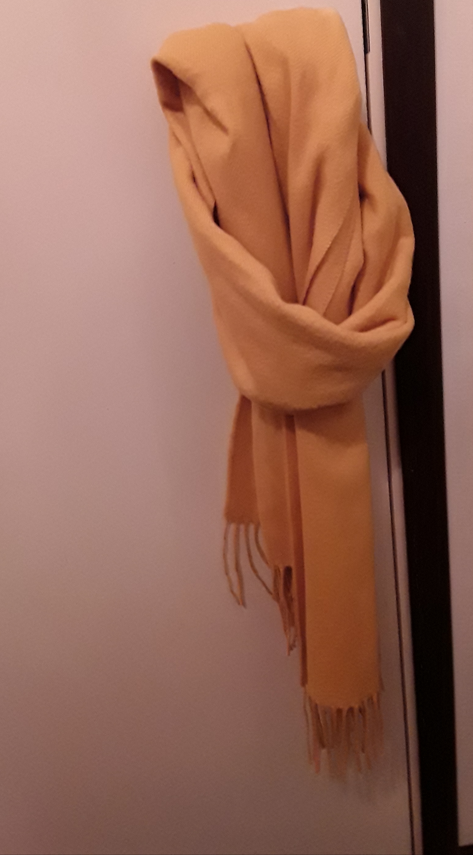 20190110_121432
