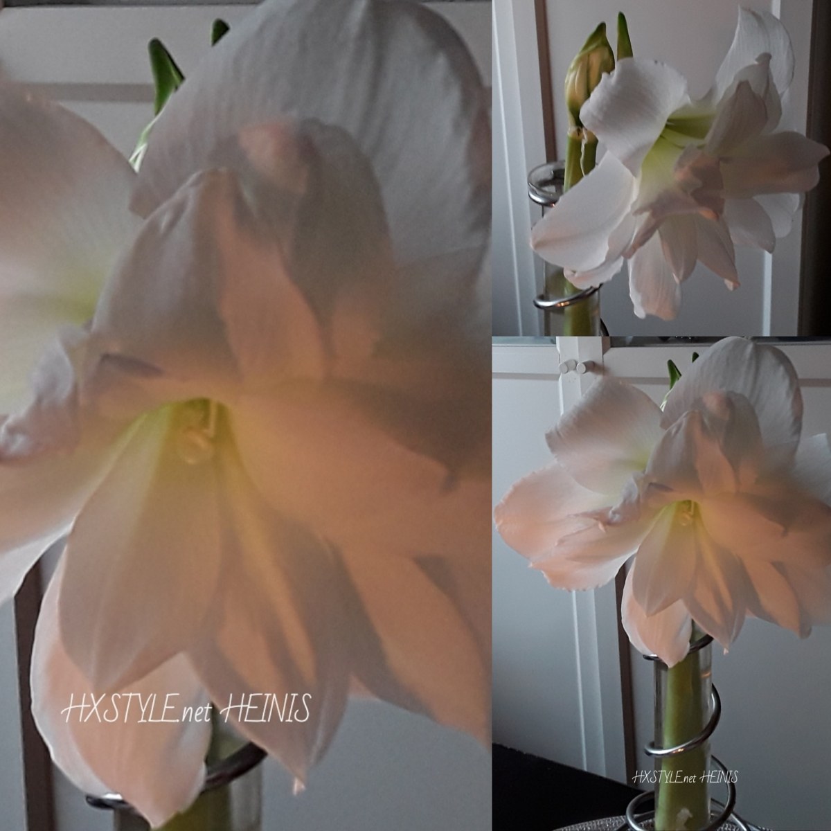 IMG_20190102_173244_251