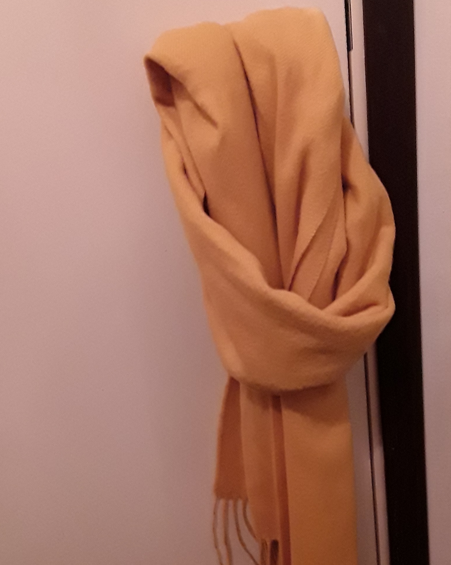 IMG_20190111_091225_769