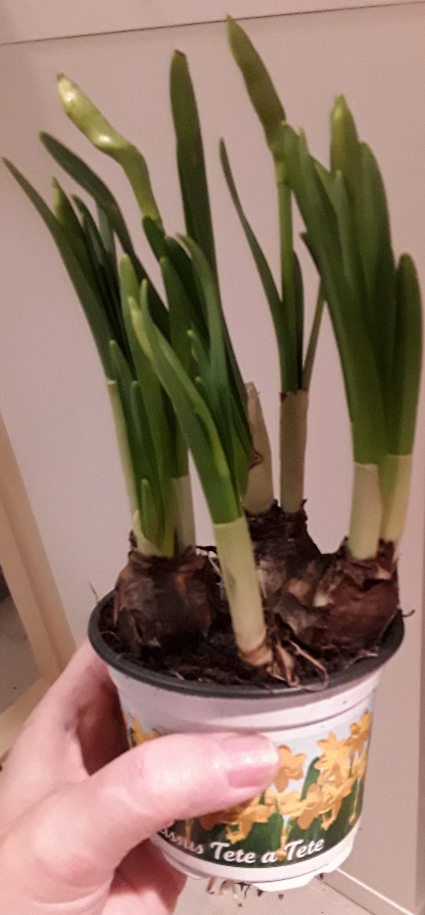 20190308_075536