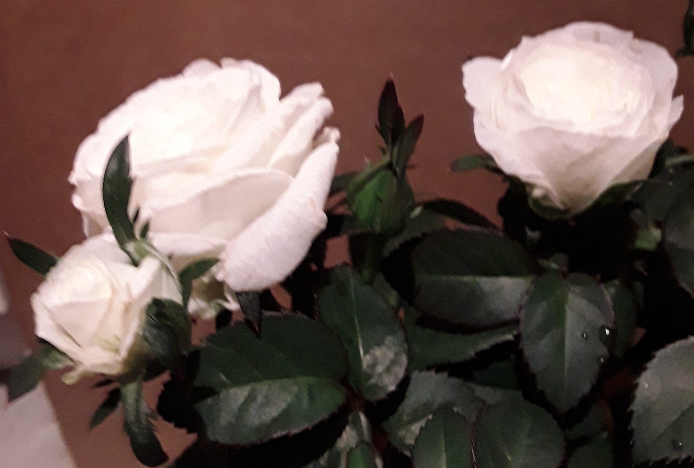 20190308_075634