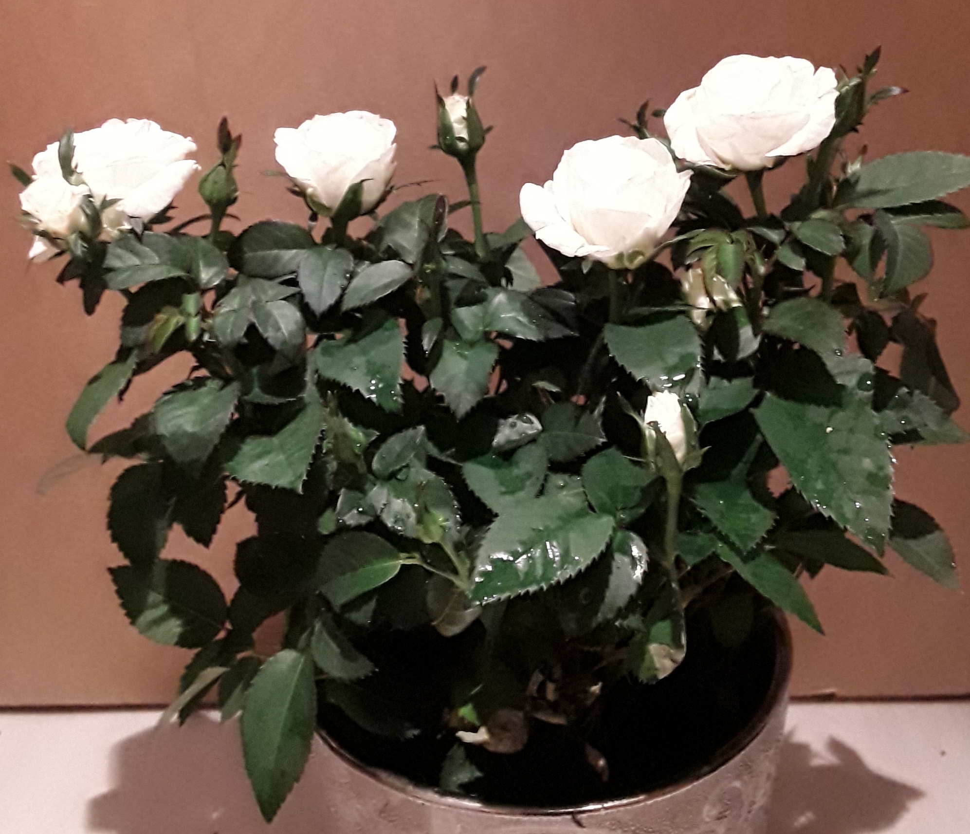 20190308_075658